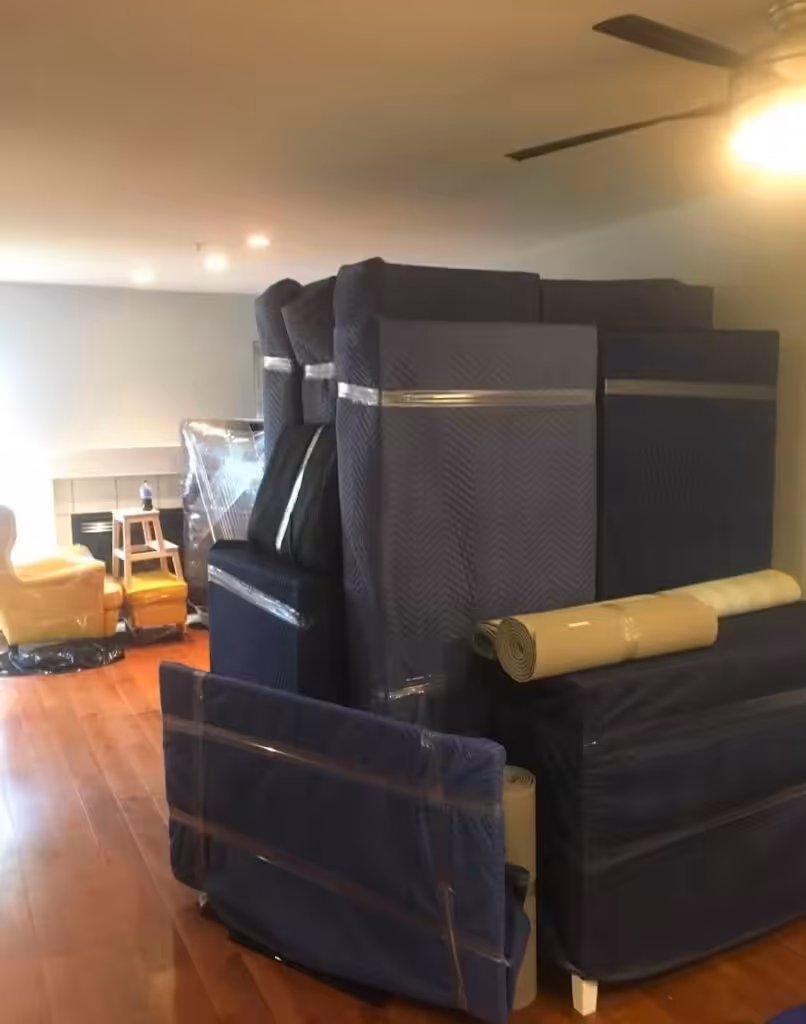 toronto movers 7